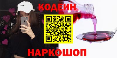 крисы Кингисепп
