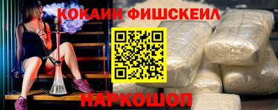 крисы Кингисепп