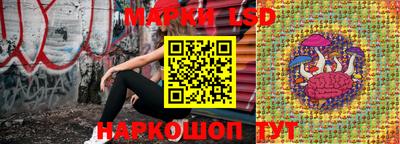крисы Кингисепп