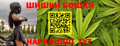 крисы Кингисепп