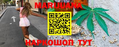 крисы Кингисепп