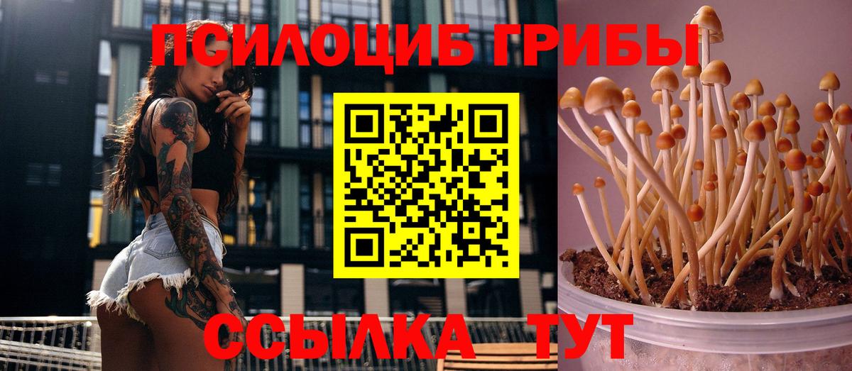 Псилоцибиновые грибы прущие грибы  Вход с VPN  Кашира 