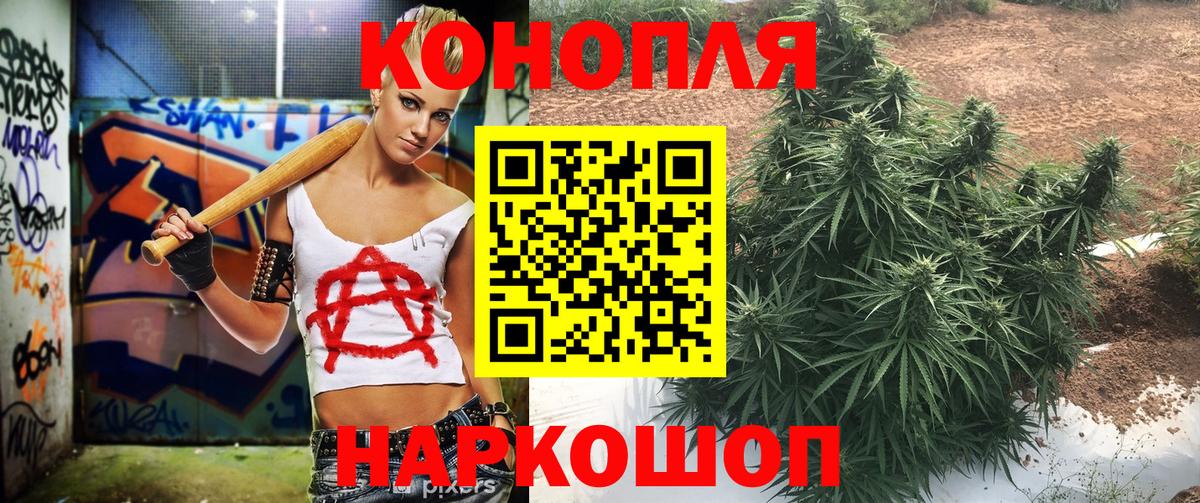 Бошки марихуана ГИДРОПОН  Вход с VPN  Кашира  Бошки Шишки ГИДРОПОН 